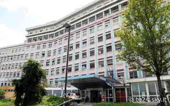 Cuneo, pentola a pressione esplode mentre cucina: uomo ustionato - Sky Tg24