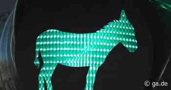 Bonn-Hardtberg: Kurioser Streit um neue Ampel? - Ampelfrau vs. Ampelesel - General-Anzeiger Bonn