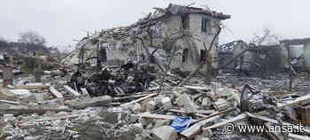 Ucraina: giardiniere di Carpi torna in patria per combattere - Agenzia ANSA