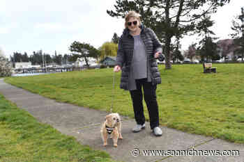 Plans buried for off-leash dog park in Sidney's Resthaven Park – Saanich News - Saanich News