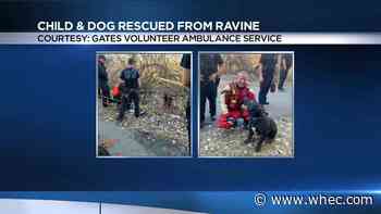 Gates firefighters and police rescue child and dog from ravine