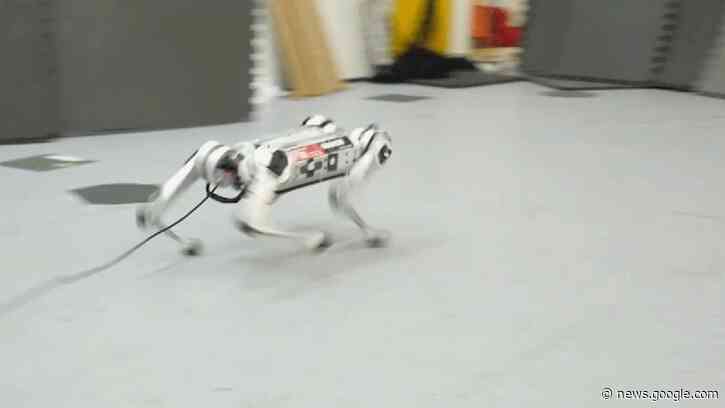 MIT's Robotic Cheetah Taught Itself How to Run and Set a New Speed Record in the Process - Gizmodo