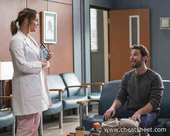 'Grey's Anatomy': When Will Skylar Astin's First Episode as Todd Eames Air? - Showbiz Cheat Sheet