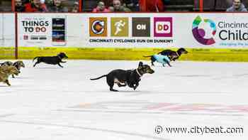 Cincinnati Cyclones to Host Wiener Dog Races on the Ice This Weekend - Cincinnati CityBeat