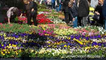 36^ Festa dei fiori a San Giuseppe di Cassola - VicenzaToday