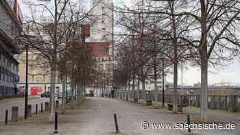 Riesa: Riesa: Reichen 100.000 Euro für den Erhalt der Promenade? - Sächsische.de