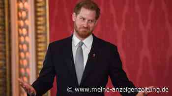 Prinz Harry muss harsche Kritik für sein „Holland-Video“ einstecken
