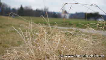 Kaum Regen seit Januar: Die Auswirkung auf Forst- und Landwirtschaft in der Region