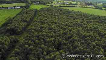 A 'green' way to become a lord or lady in Ireland