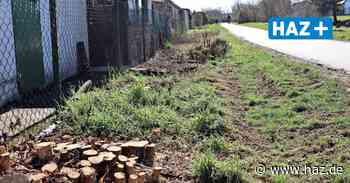 Hemmingen-Westerfeld: Kleingärtner müssen Pflanzen am Heisterkamp entfernen - HAZ
