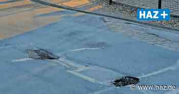 Hemmingen: Stadt bessert Schlaglöcher an der Sollingstraße in Arnum aus - HAZ