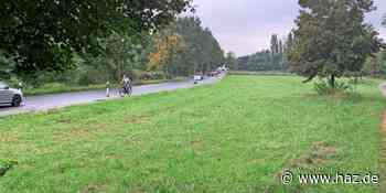 KGS Hemmingen: Gauß-Schule pflanzt wegen Gutachten keinen Schulwald - HAZ