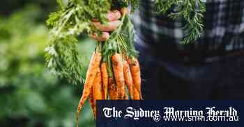 In the grip of glut? Grow like a seasoned gardener - Sydney Morning Herald