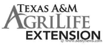 Master Gardener to host Annual Plant Sale April 9 - Sealy News