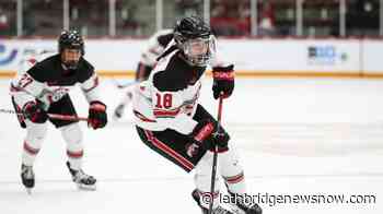 Toronto's Sophie Jaques a finalist for NCAA women's hockey MVP - Lethbridge News Now