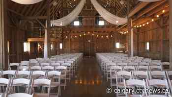 Lethbridge wedding industry sees business boom amid loosened COVID-19 restrictions | CTV News - CTV News Calgary