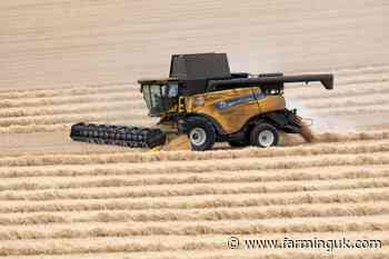 UK farm leaders call for more action amid rising food security concerns - FarmingUK