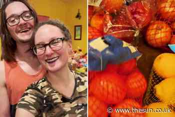 I go dumpster diving for old food – it’s amazing how much I came home with after just three hours & it fed... - The Sun