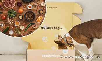 Sundays are the first dog food brand to make air dried food containing real ingredients - save 20%! - Daily Mail