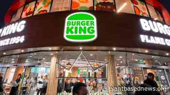 Criticizing Vegan Fast Food For Being ‘Unhealthy’ Is Missing The Point - Plant Based News
