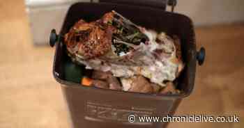 Expert shares 10 ways to reduce food waste by £720 each year, as the cost of living frantically rises - Chronicle Live
