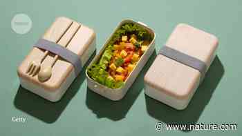 Nine 'brain food' tips for researchers - Nature.com