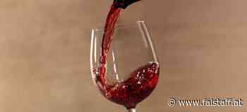 Burgunder en Primeur 2022