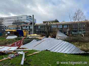 Sturmschäden: „Zeynep“ kostet Versicherer über 900 Millionen Euro - Landkreis Stade - Stader Tageblatt - Tageblatt-online