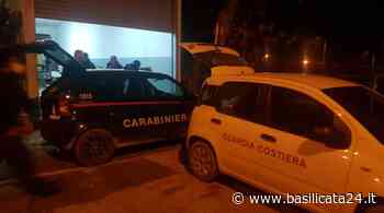 Matera, pesca illegale di novellame: i Carabinieri Forestali sequestrano 200 Kg di bianchetto - Basilicata24