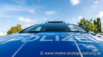 120.000 Bienen in Schwaben gestohlen