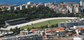 Ippodromo di Trieste, shock: baby gang tirava sassi ai cavalli spaventandoli - triestecafe.it