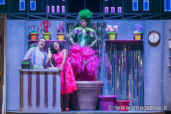 La piccola bottega degli orrori a Trieste - imagazine