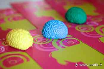 Tornano a Trieste le Olimpiadi italiane delle Neuroscienze - Università degli studi di Trieste