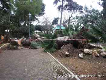 Verde nelle città di Puglia, i dati di Legambiente: Trani ultima fra i capoluoghi - ilgiornaleditrani - Radio Bombo