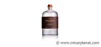 Peter In Florence partecipa a Taste 2022 - Mixer Planet