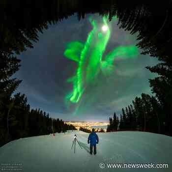 Breathtaking Image Shows Giant, Whale-shaped Aurora in Night Sky - Newsweek