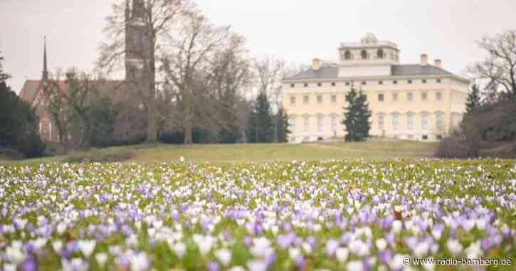 Der Frühling kommt – mit viel Sonne und knapp 20 Grad