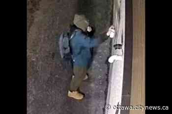 OPP looking for suspect who defaced Carleton Place Canoe Club - Ottawa.CityNews.ca
