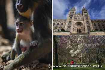 UK's top ten most visited attractions revealed