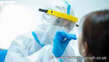 Coronavirus Northern Ireland: No further deaths and 1798 cases - Belfast Telegraph