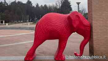 A Gallarate chiocciole, conigli e pinguini: le strade invase dalla Cracking Art - La Repubblica