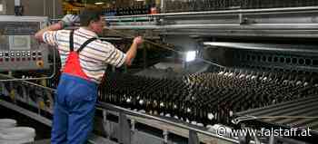 Brau Union: Bäume retten und Plastik sparen