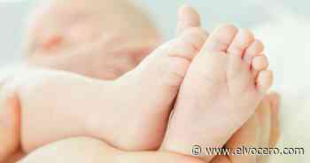 Conoce los artículos para bebés que estarán libres de impuestos en Florida - El Vocero de Puerto Rico