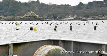 La Région et le Pays de Lorient préparent un nouvel accompagnement des projets maritimes - Le Télégramme