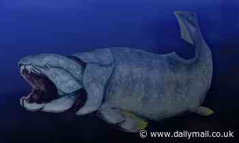 Human jaws evolved from fish gills to be strong and snappy