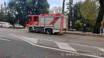 Foligno, fiamme in pescheria: prende fuoco l'olio per friggere - PerugiaToday