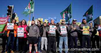 800 staff sacked without notice - this is P&O chief's letter explaining why - Cornwall Live