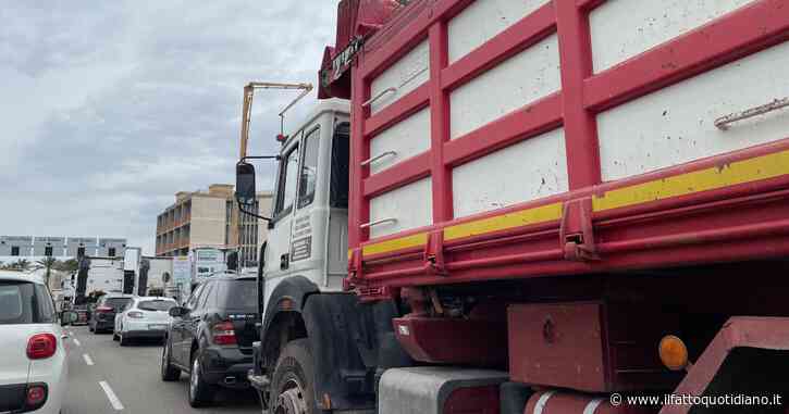 Sardegna, l’ultima regione in cui continua la protesta dei trasportatori. Stop ai blocchi solo per i prodotti agricoli, dai carciofi al pecorino