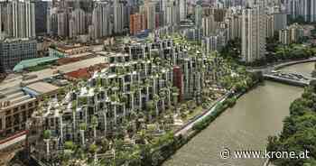 Baum am Dach - Ausstellung in Salzburg zeigt grüne Architektur - Kronen Zeitung