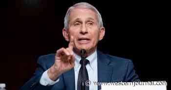 Breaking: Fauci Considering Retirement, Will Receive Largest Federal Retirement Package in History